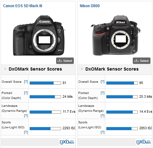Canon 5D MK III vs Nikon D800