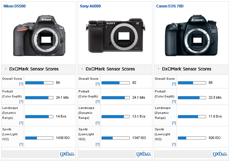 Nikon-D5500-versus-Sony-A6000-versus-Canon-70D.jpg