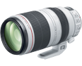 Canon EF 100-400mm f/4.5-5.6L IS II USM