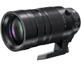 Panasonic Leica DG Vario-Elmar 100-400mm f/4-6.3 ASPH. POWER O.I.S.