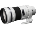 Sony 300mm F2.8 G II