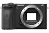 Sony A6600