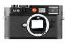 Leica M8