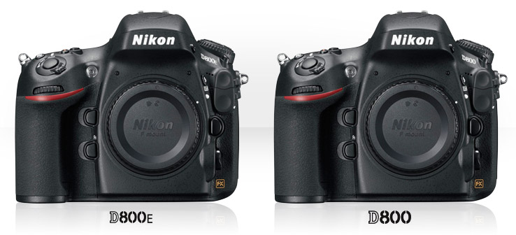 Nikon D800E and Nikon D800