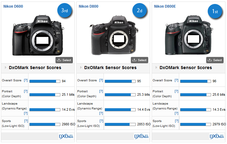 Nikon D600 sets high bar for sensor image quality - DXOMARK