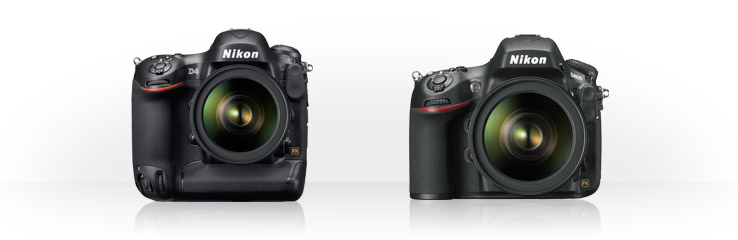Nikon D4 vs Nikon D800