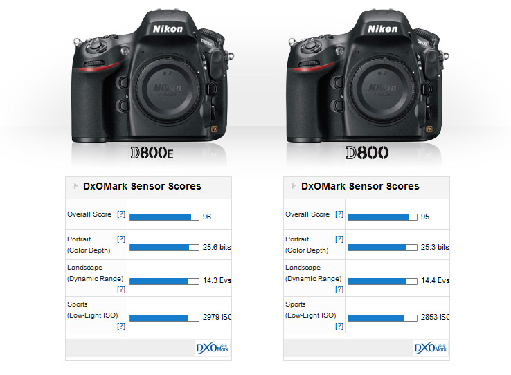 Nikon D800E nabs top ranking from D800 - DXOMARK