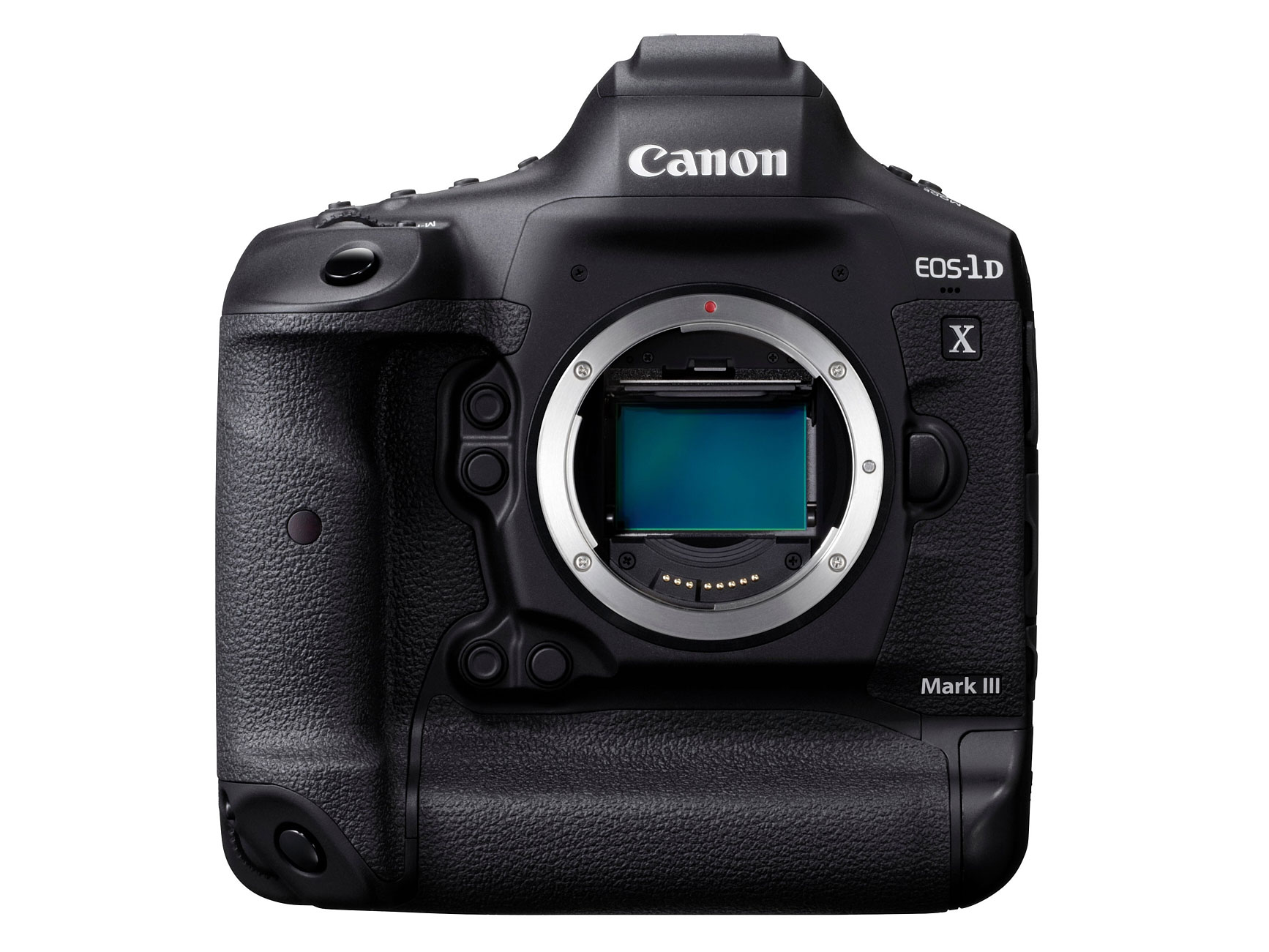 Canon EOS R8 Sensor test - DXOMARK